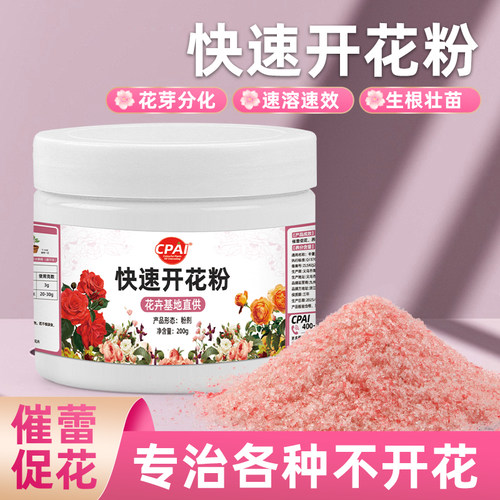 快速开花粉三角梅茶花茉莉通用型