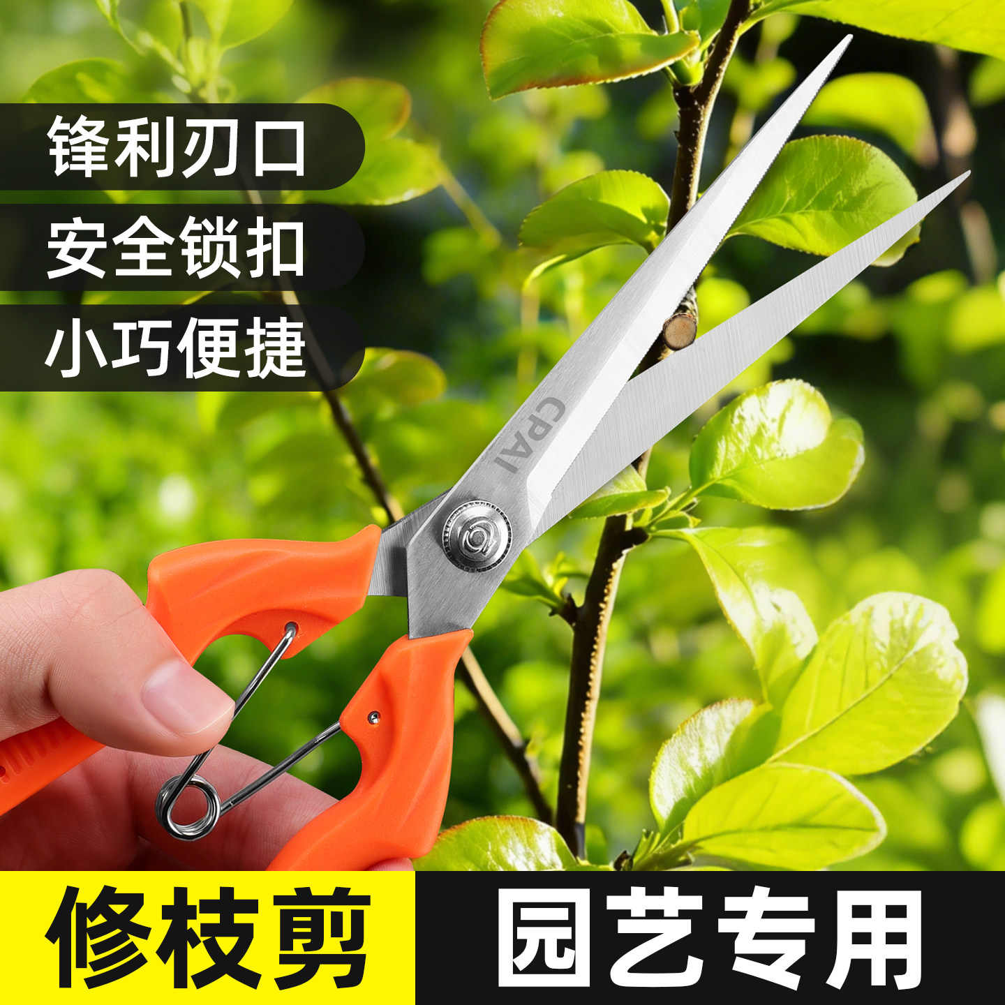 摘果剪刀柑橘采果剪不锈钢剪刀家用修枝剪果树剪子剪花园艺专用剪,鲜花速递/花卉仿真/绿植园艺,剪刀,淘宝优惠券,粉丝福利购,淘宝优惠卷