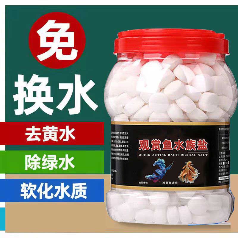 24小时发货去黄水观赏鱼