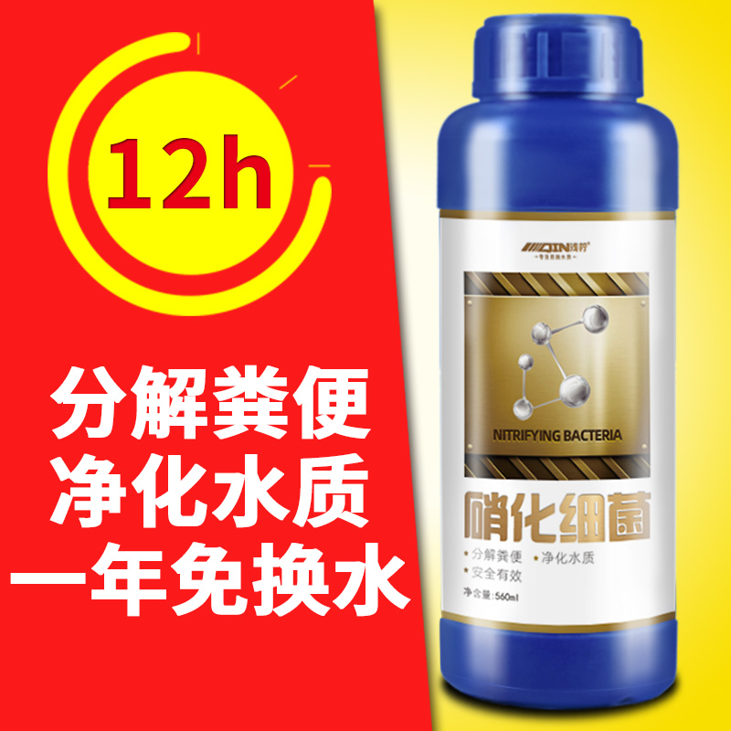 水族稳定剂鱼缸水立清澄硝化细菌