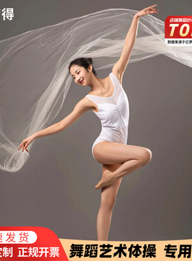 舞蹈演出红色纱巾轻薄透明飘逸跳舞道具艺术体操薄纱古风白丝巾