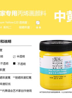 Winsor Newton Painter Acrylic Paint 300Ml painting pigment