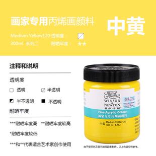 Winsor Newton Painter Acrylic Paint 300Ml painting pigment