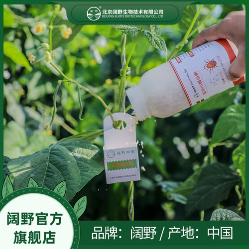 智利捕食螨红蜘蛛以虫治虫阔野
