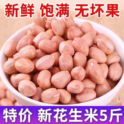 农家现剥粉红皮花生米白沙花生