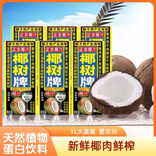 椰树牌正宗海南椰汁1L大盒装