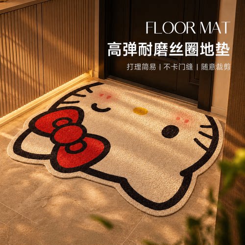 加厚10mm丝圈脚垫入户门防滑耐磨