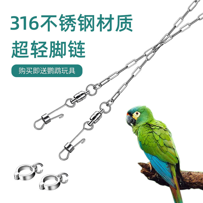 鹦鹉不锈钢脚环脚链超轻鸟链子虎皮八哥牡丹玄凤放飞绳站架用品