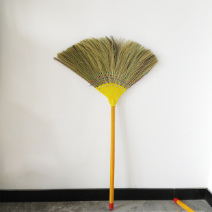 芒草扫把头软毛家用庭院客厅植物室内瓷砖地板老式金丝苗凤尾扫帚