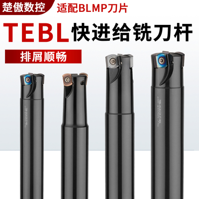 TEBL06/09快进给抗震数控铣刀杆开粗面铣刀盘刀杆配BLMP0603R刀片