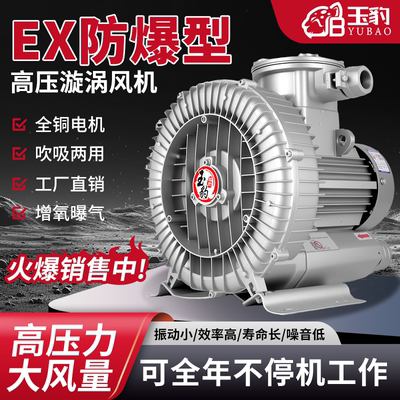 防爆漩涡风机增氧罗茨涡轮380V大功率强力吸工业鼓风机旋涡式气泵