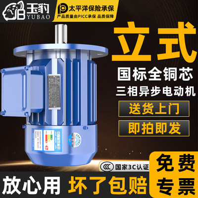 【100%全铜线圈】买电机→找玉豹