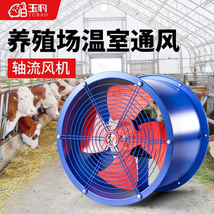 SF轴流风机220v大功率换气扇强力管道式排气扇厨房通风养殖场散热