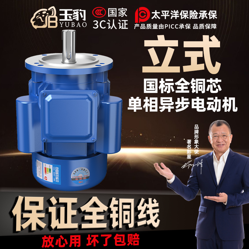 立式单相电机220V纯铜线小型两相1.1/1.5/2.2/3KW高速异步电动机