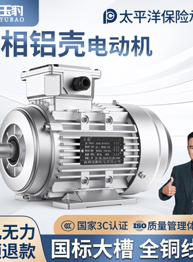电机380V三相YS铝壳 1400转90120w180W250W370W750WKW电动机马达