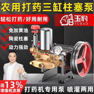 三缸柱塞泵打药机喷雾器高压农用园林果树小型家用电动喷洒农药泵