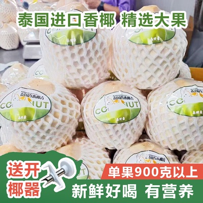 易开椰子新鲜进口泰国香水椰青