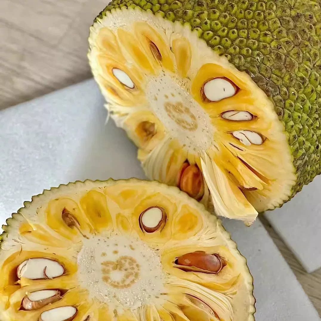 越南进口黄肉菠萝密新鲜一整个干苞脆甜波罗蜜黄心菠萝蜜顺丰