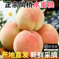 嘉兴凤桥水蜜桃新鲜现摘整箱当季水果超甜爆汁软桃湖景水蜜桃子
