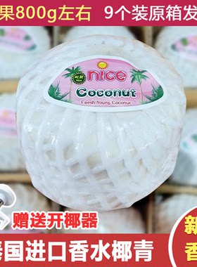 椰青新鲜椰子泰国进口香水椰中果