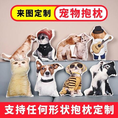 无白边丑猫抱枕定制来图可印照片异形宠物靠枕头猫狗仿真礼物毕设