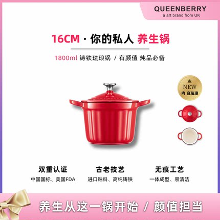Queenberry英国库白料理锅家用双耳炖锅1-2口之家珐琅饭釜锅16cm