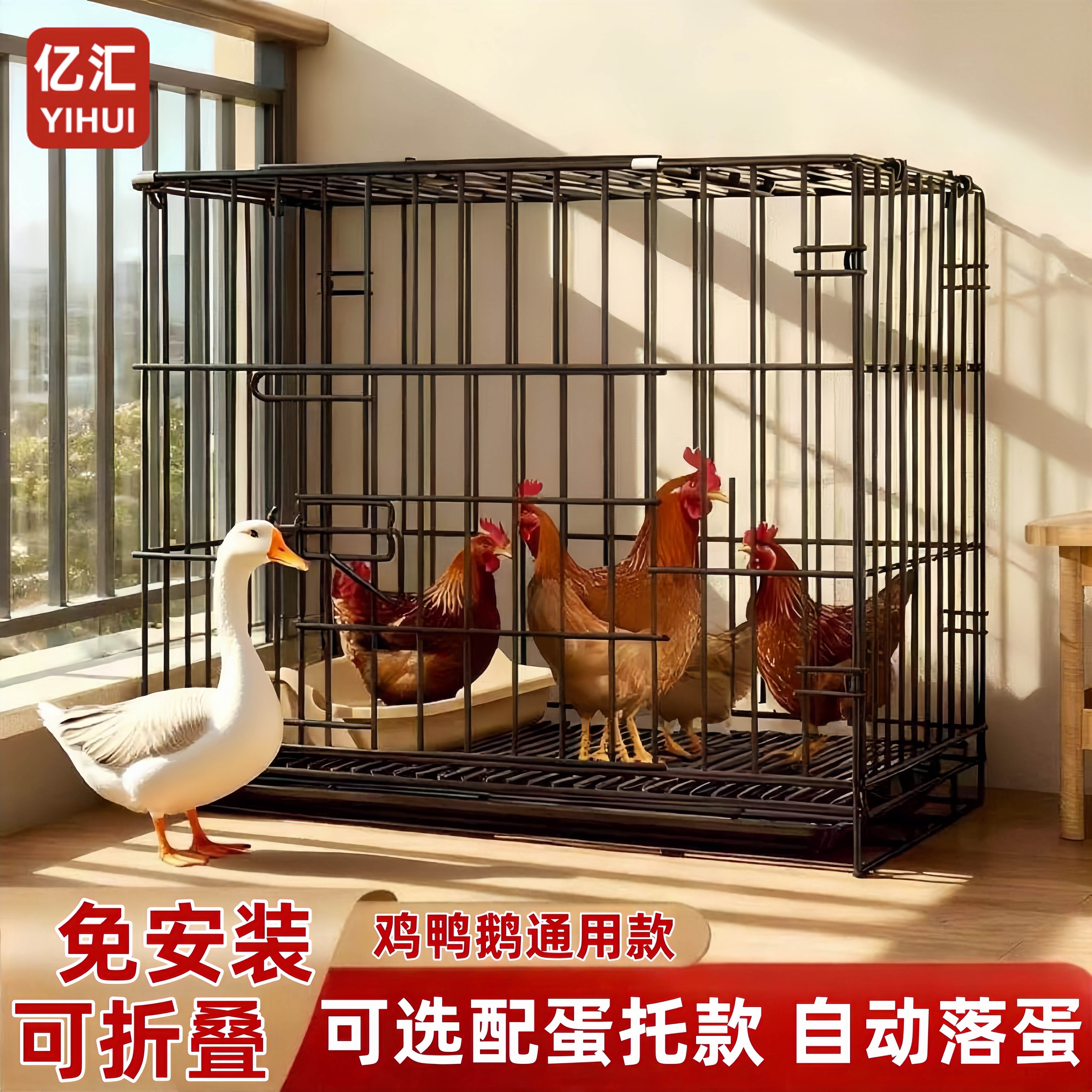 大大大！鸡笼家用室内自动清粪！