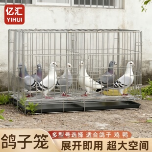 新型鸽子笼养鸽子专用笼家用大号特大号白鸽元宝鸽笼子加固养殖笼
