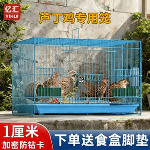 养芦丁鸡笼子饲养专用笼家用室内大号鹌鹑小鸭小鸡养殖宠物笼加密