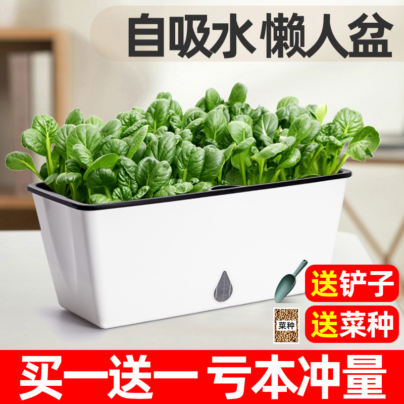 阳台种菜盆塑料自吸水懒人盆