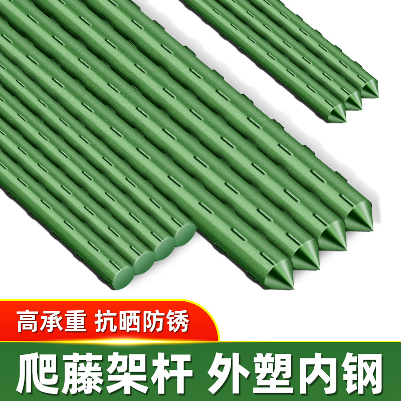 爬藤架支撑杆月季黄瓜铁线莲花架