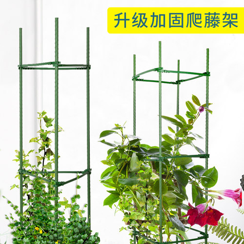 花架爬藤架番茄支撑杆月季