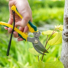 园艺剪刀修枝剪子树枝家用修花果树摘果工具园林强力粗枝神器
