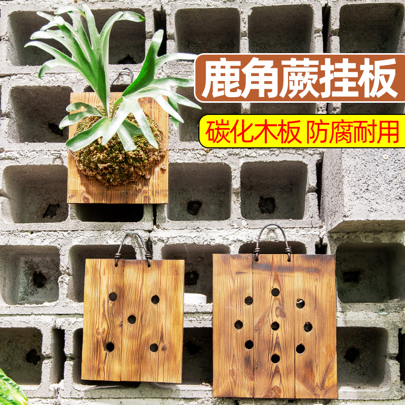 碳化实木板鹿角蕨挂板防腐耐用