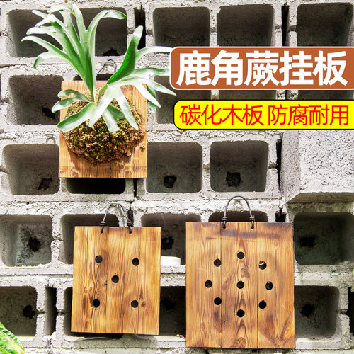 碳化实木板鹿角蕨挂板防腐耐用