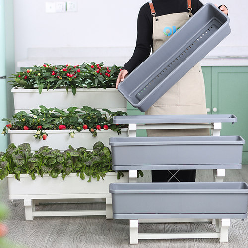 简约阳台种菜盆套装15天免浇水