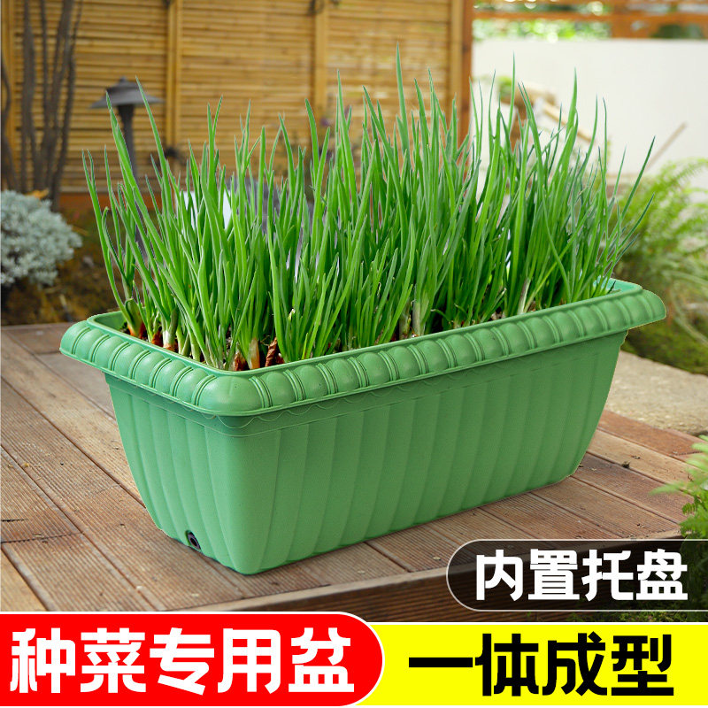 种菜专用盆自吸水家用阳台种菜盆长方形加厚懒人种菜养花花盆透气