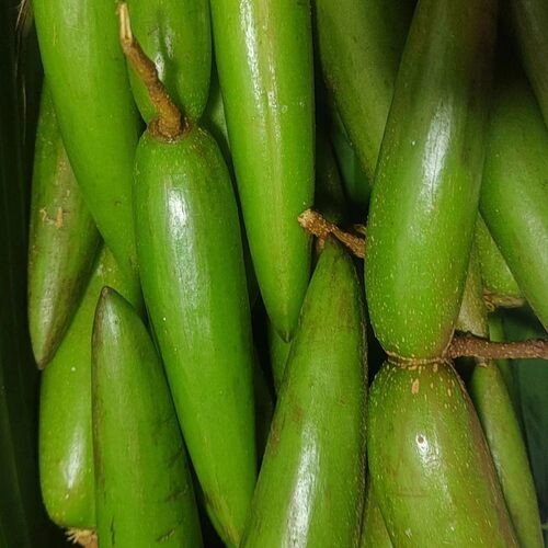 绿春县特产盐水泡羊排果500g袋装酸辣农家土特产