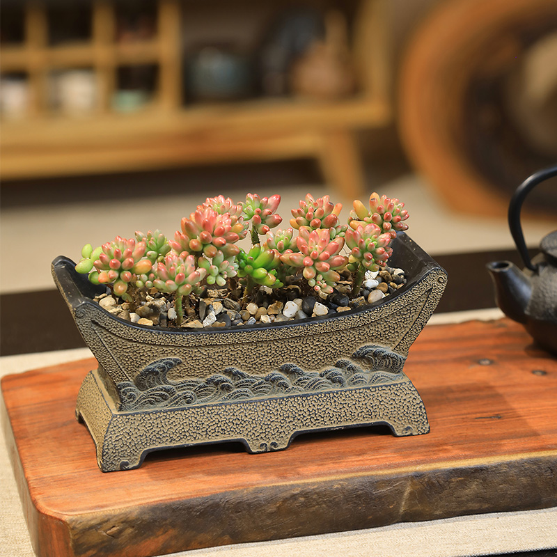 汉韵堂多肉绿植小花盆摆件室内桌面盆景花园庭院装饰造景盆栽景观