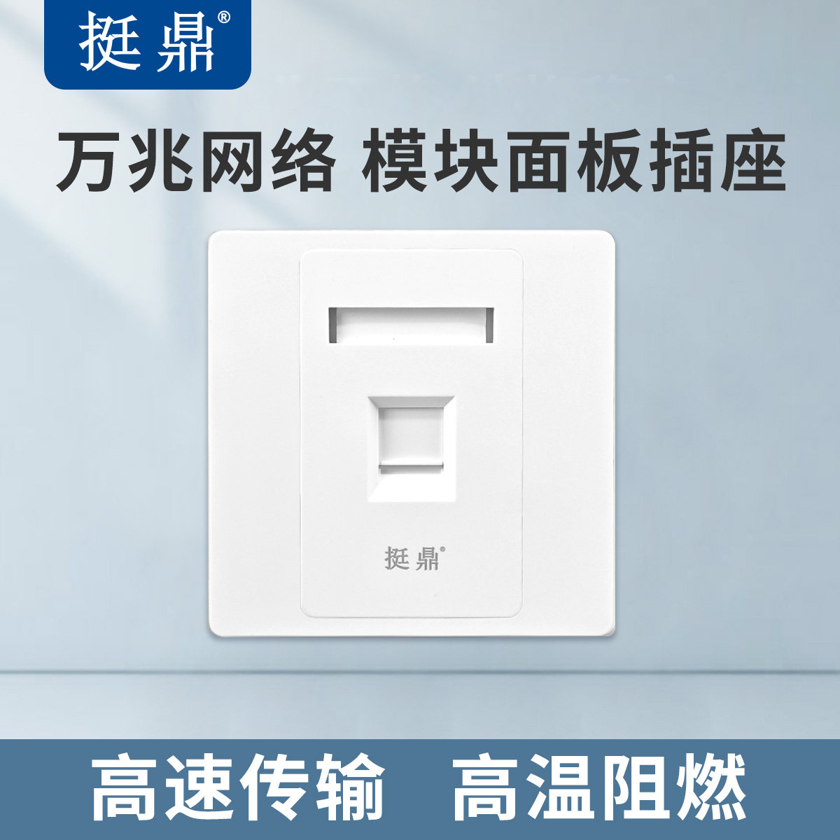 挺鼎 86面板网络插座电脑网络宽带网口pvc高温阻燃(模块另拍)