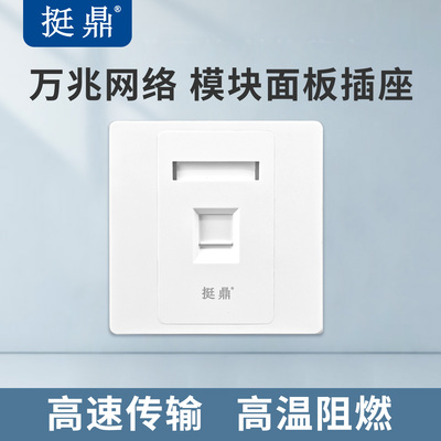 挺鼎 86面板网络插座电脑网络宽带网口pvc高温阻燃（模块另拍）