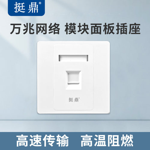 挺鼎 86面板网络插座电脑网络宽带网口pvc高温阻燃（模块另拍）