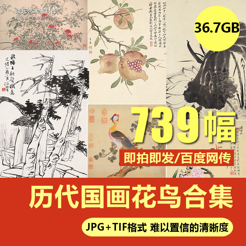 国画花鸟合集册页高清电子图片水墨工笔写意花鸟画芯喷绘临摹素材