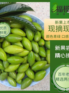 2025青枣脆新果新鲜橄榄青橄榄福州特产闽清农家橄榄两头尖橄榄果