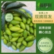 2025青枣脆新果新鲜橄榄青橄榄福州特产闽清农家橄榄两头尖橄榄果