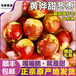 河北黄骅冬枣水果新鲜5斤孔店冰糖香脆甜冬枣子水果整箱顺丰包邮3