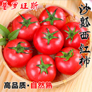 包邮 水果番茄蔬菜生吃现货5斤 普罗旺斯沙瓤西红柿新鲜自然熟当季