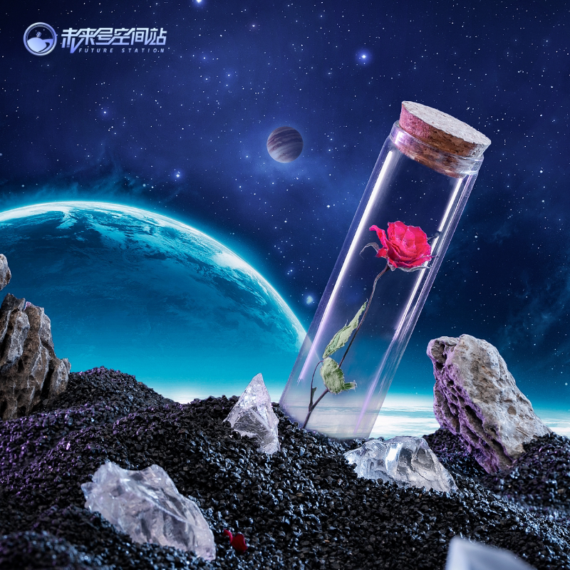 太空玫瑰干花永生花小王子的玫瑰花情人节七夕限量礼盒送女友礼物