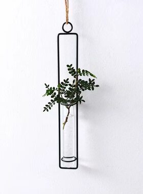 水培绿萝植物容器壁饰