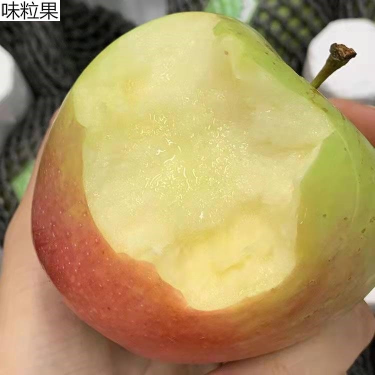 日本青森水蜜新鲜桃苹果青岛宝山明月王林脆甜新鲜5斤,水产肉类/新鲜蔬果/熟食,苹果,淘宝优惠券,粉丝福利购,淘宝优惠卷